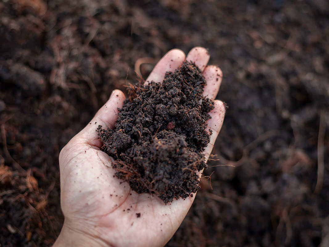 Hand hält frischen Humus, im Hintergrund ist Erde zu sehen, als Beispiel für hochwertige Schüttgüter für Garten und Landschaft.