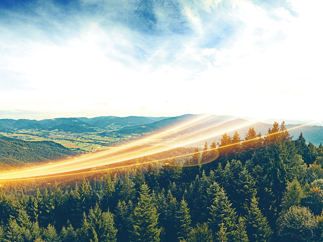 Luftaufnahme des Schwarzwalds mit einem goldenen Schweif, der über den Horizont gleitet.